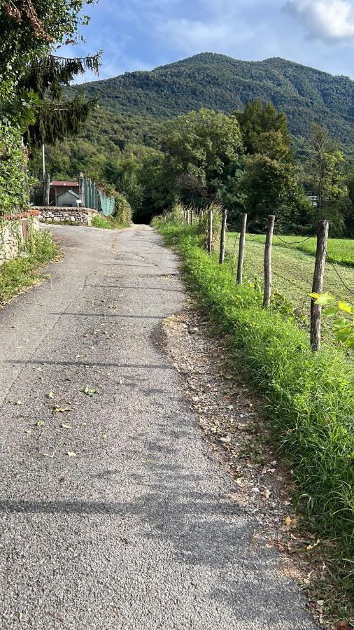 Agriturismo La Betulla Brezzo