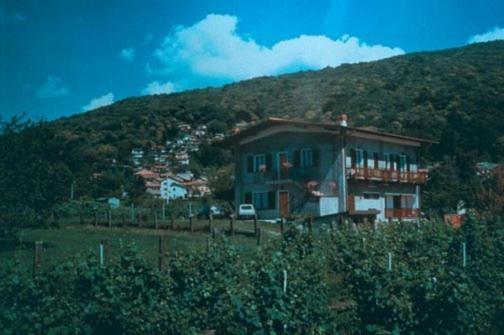Agriturismo La Betulla Bauernhof Brezzo