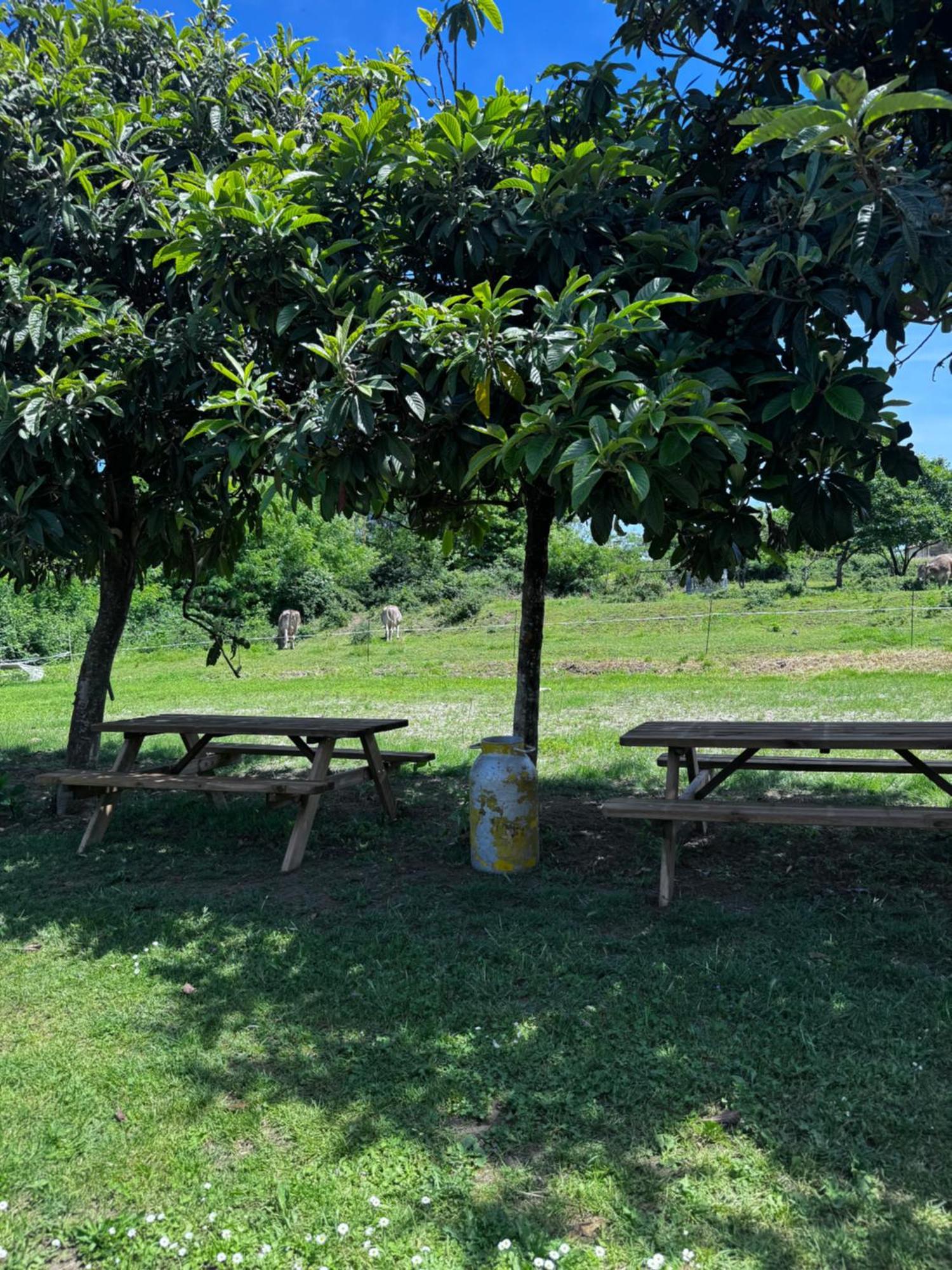 Bauernhof Agriturismo La Betulla Brezzo