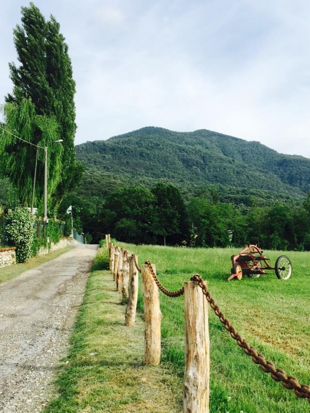 Agriturismo La Betulla Farm stay