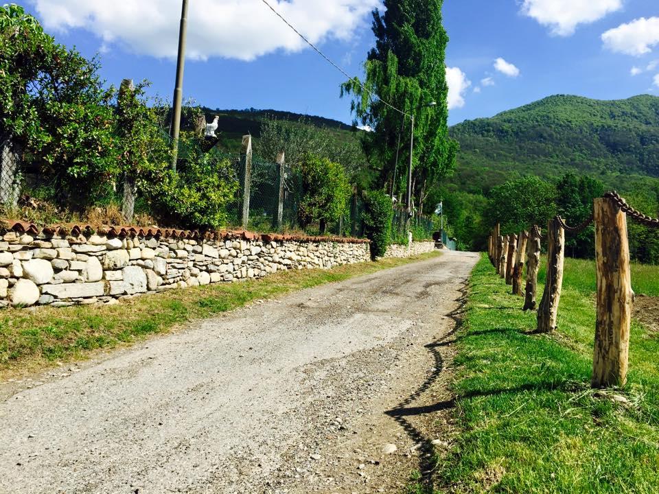 Bauernhof Agriturismo La Betulla