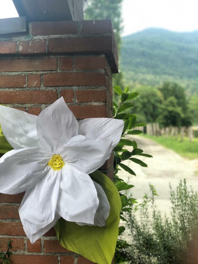 Agriturismo La Betulla *